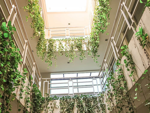 Legreen Suite Pejompongan Cakarta Dış mekan fotoğraf